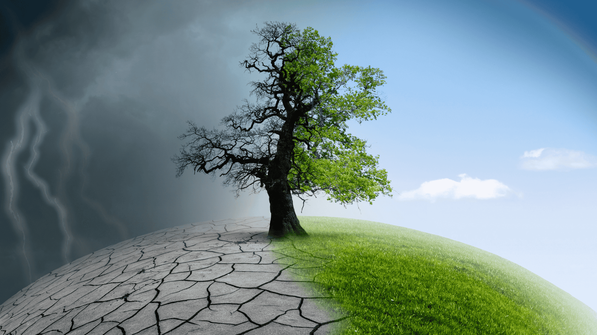 Climate Security: How Environmental Change is Redefining Geopolitics and International Diplomacy