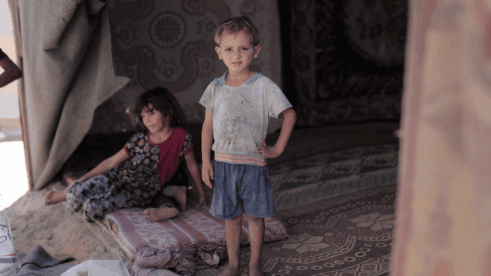 Gaza Crisis: Diplomatic Stalemate as Annexation Calls Deepen Humanitarian Catastrophe